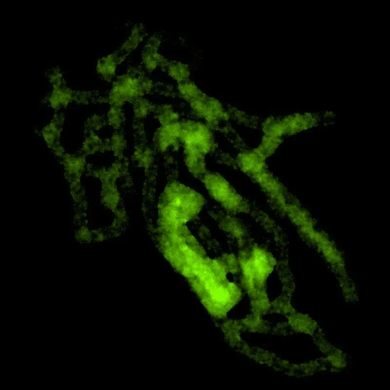 Procedural Growth Simulation Animation