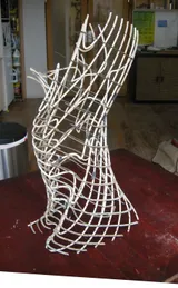 Alyson Shotz: Transitional Objects