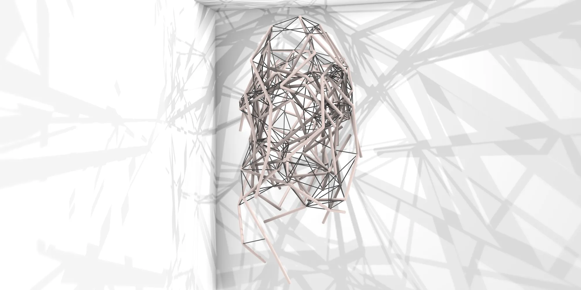 Space Filling Structure Rhino Viewcapture