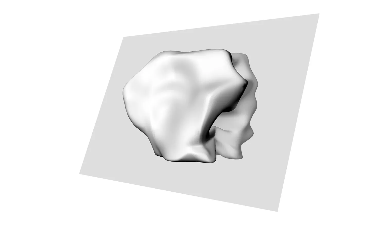 Serial Section Alignment Specimen B