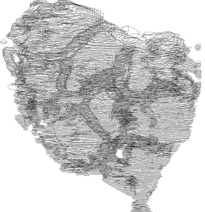 Specimen A Contour Curves