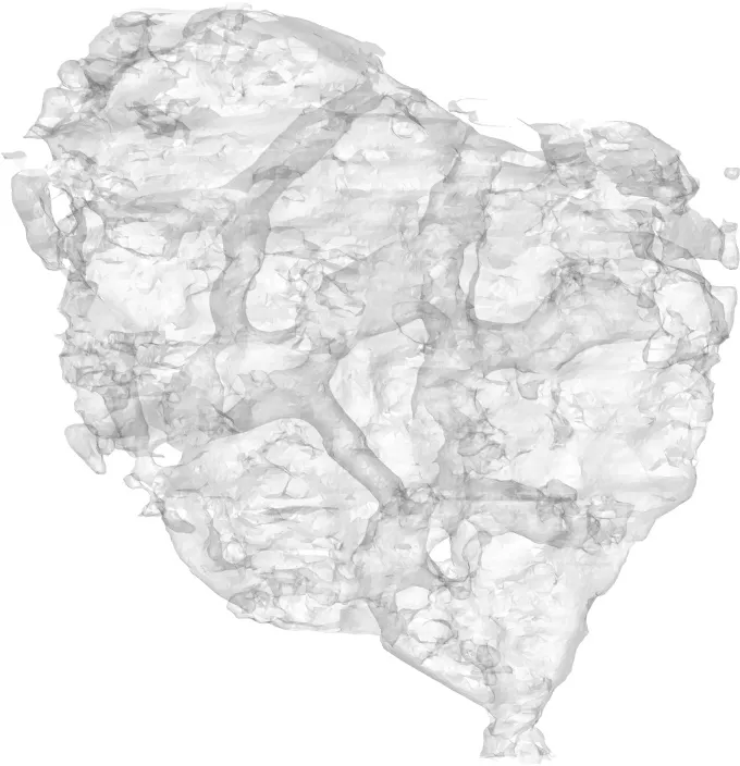 Specimen A Shaded Volumetric Model