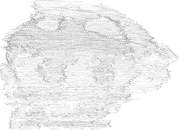 Specimen B Point Cloud Extraction