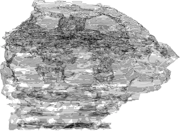 Specimen B Contour Curves