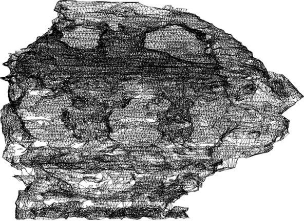 Specimen B Wireframe Mesh