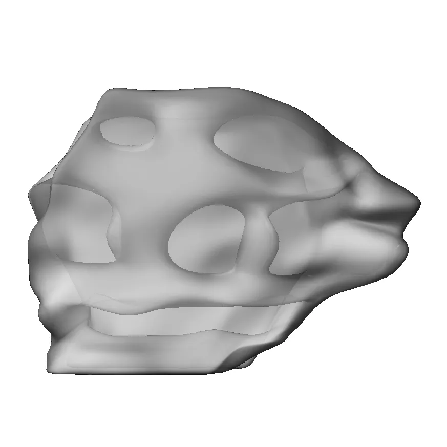 Specimen B Subd Surface Reconstruction