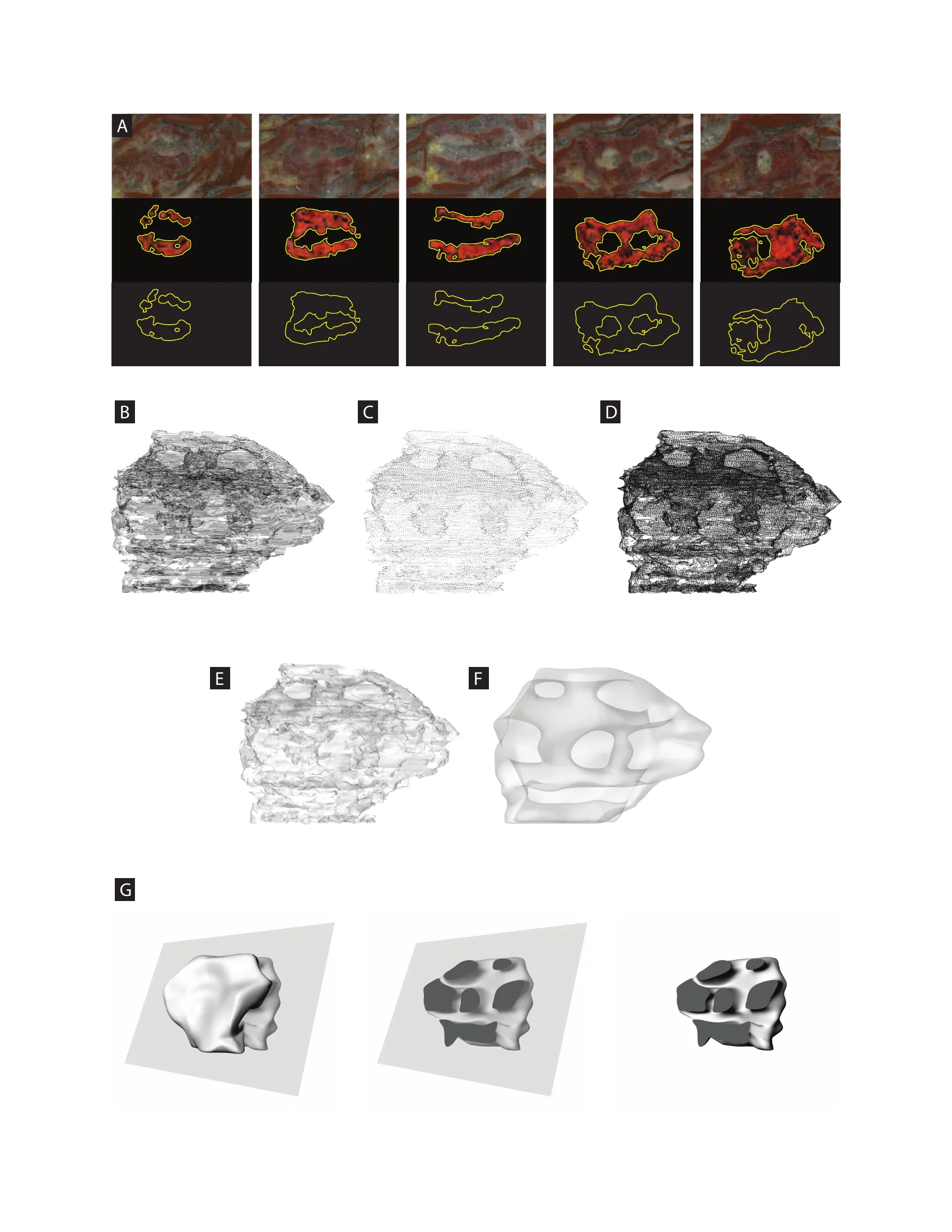 Full Specimens Composite Diagram